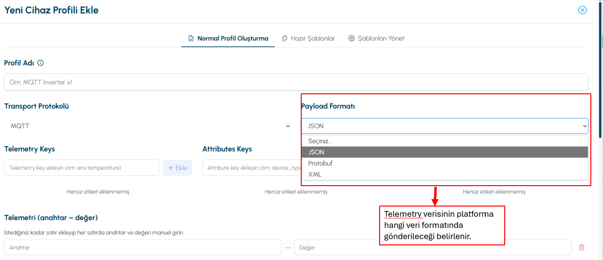 Telemetry and attribute fields